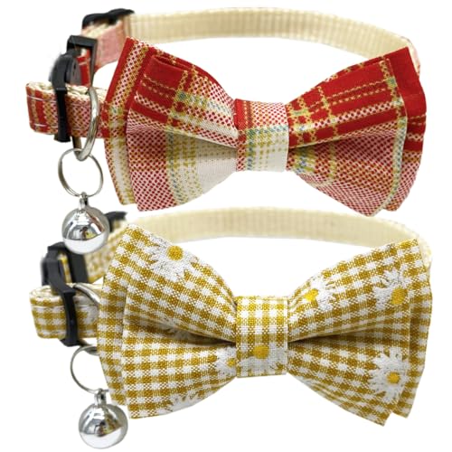 Collar de gato para gatitos pequeños con broche anticaídas 2