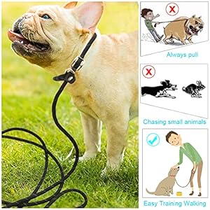   BTINESFUL-10FT-15FT-20FT-Anti-Choke-Slip-Lead-Dog-Leash-Reflective-13-Rope-Leash-Long-Training-Lead-for-Small-Medium-Dogs-Black