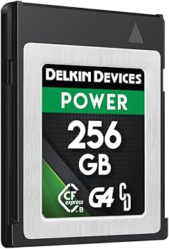 Amazon.com: Delkin Devices 256GB CFexpress Type B G4 Memory Card