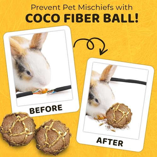 Image of SunGrow Assorted Rabbit & Cat Chew Balls, Teething Activity Toy for Pocket Pets, Improves Dental Health, Environment Friendly, Stress Reliever (Coconut Fiber, 3 Pcs)