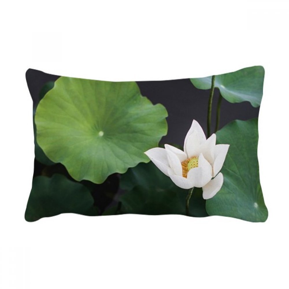 Coussin feuille de lotus pour une ambiance zen et nature dans votre salon