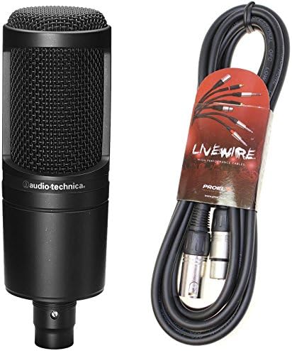 Audio Technica AT2020 - Gruppo condensatore Mic & cavo Pro XLR al piombo