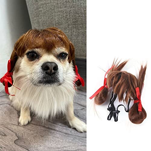 HomeSoGood 3pcs Pelucas para Mascotas Disfraz Divertido miniatura 3