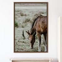 Framed Canvas Wall Art Horse Animals Dramatic Farmhouse/Country Horse Living Room Multicolor Photography - 16x24 inches