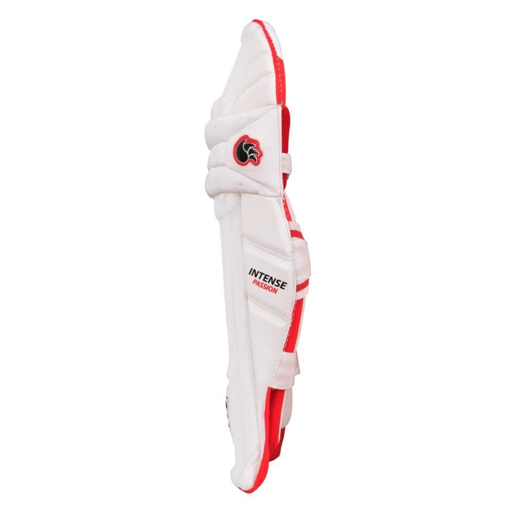 DSC Intense Passion Cricket Batting Legguard Youth Right-picture-12