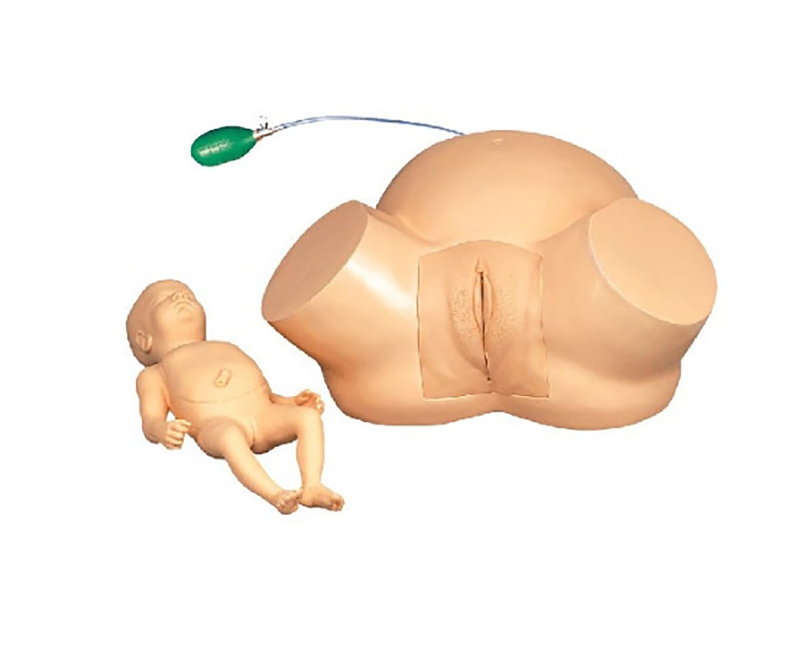 Imosei Women's Midwifery Training Model, Real Size, Demonstration Childbirth Manikin, Obstetrics And Gynecology Childbirth Simulator, Advanced Midwifery Training Model, For Medical Teaching
