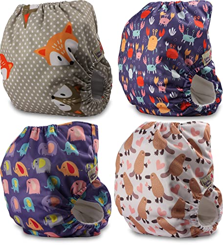 Littles & Bloomz FLV2