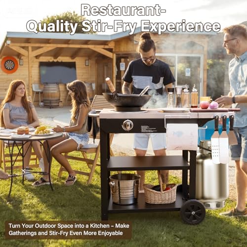 Commercial Stainless Steel Fry Station