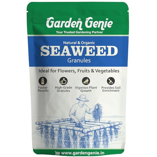 Image of Garden Genie Seaweed Extract Granules for Plants 250 Gm | Organic Fertilizer and Growth Promoter for All Indoor, Outdoor Home Garden Plants