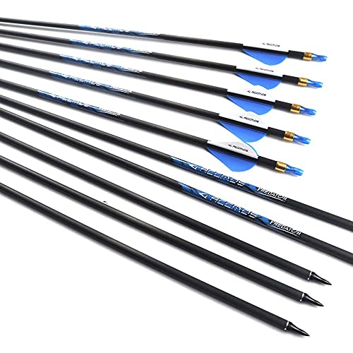 Best Compound Bow Arrows 29 Inch 340 Spine 2024 Where to Buy?