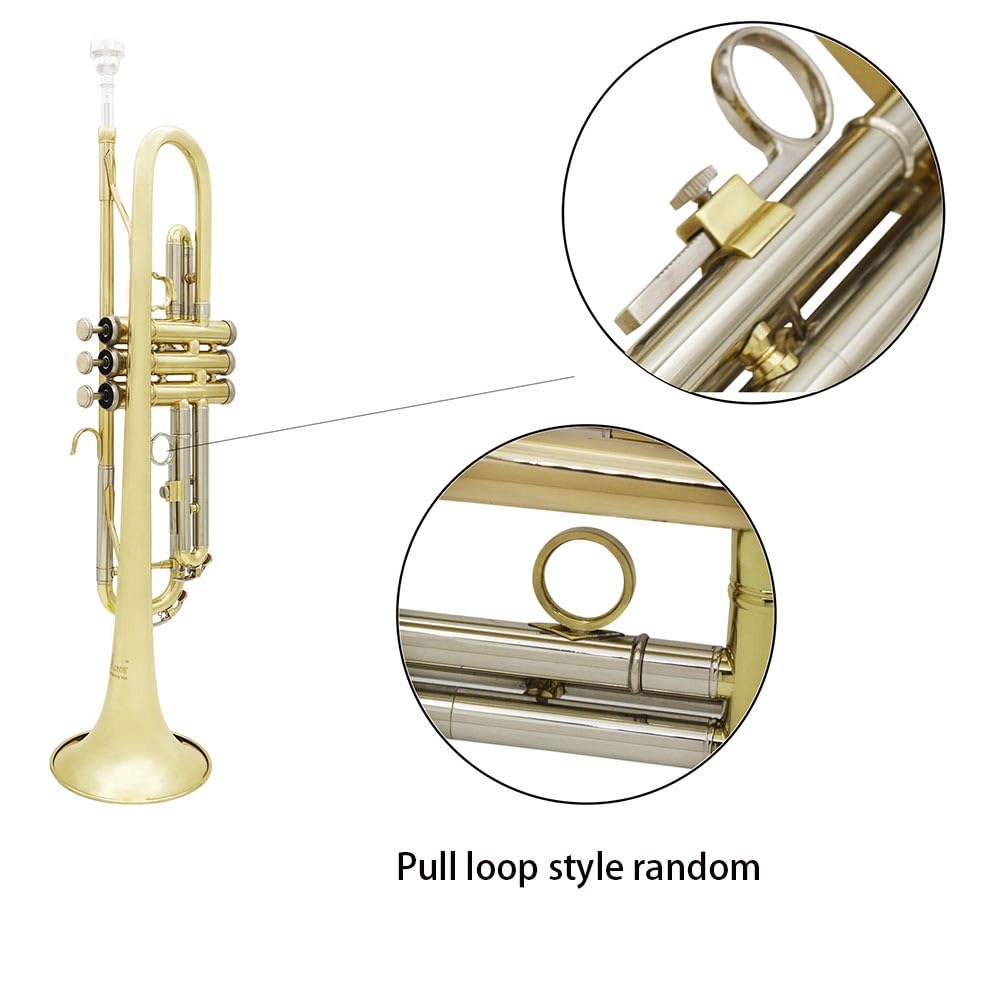 Bb Trompete Messing Gold Silber Dual Color für Anfänger Militär Band Performance Messing Instrument Trompete Kit