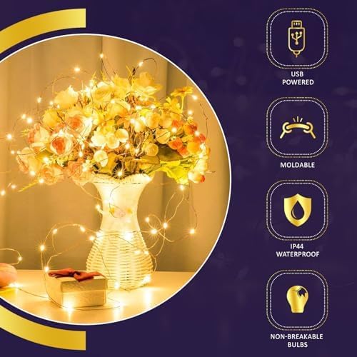 Image of Lexton 5 Meter LED Copper String Light | USB Powered Fairy Lights | Warm White Decorative Lights for Diwali, Festival, Home, Balcony & Outdoor Decoration, Pack of 1