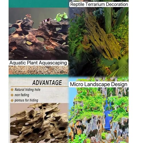 Image of 4 Pcs Natural Aquarium Driftwood Shrimp Wood, 3.94-5.91 inch (10-15cm) Assorted Branches & Trunk, Terrarium Ornament & Habitat Decor for Fish, Shrimp and Reptiles