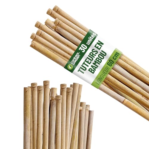 Control Garden Pack 30 unités de tuteurs en bambou écologique de 60 cm | Poteaux naturels en canne pour soutenir les plantes ø 6-8 mm | Tiges pour arbres, légumes, plantes grimpantes et cultures