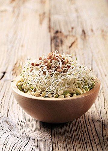 Sprouts for Chinese Cuisine Mix -