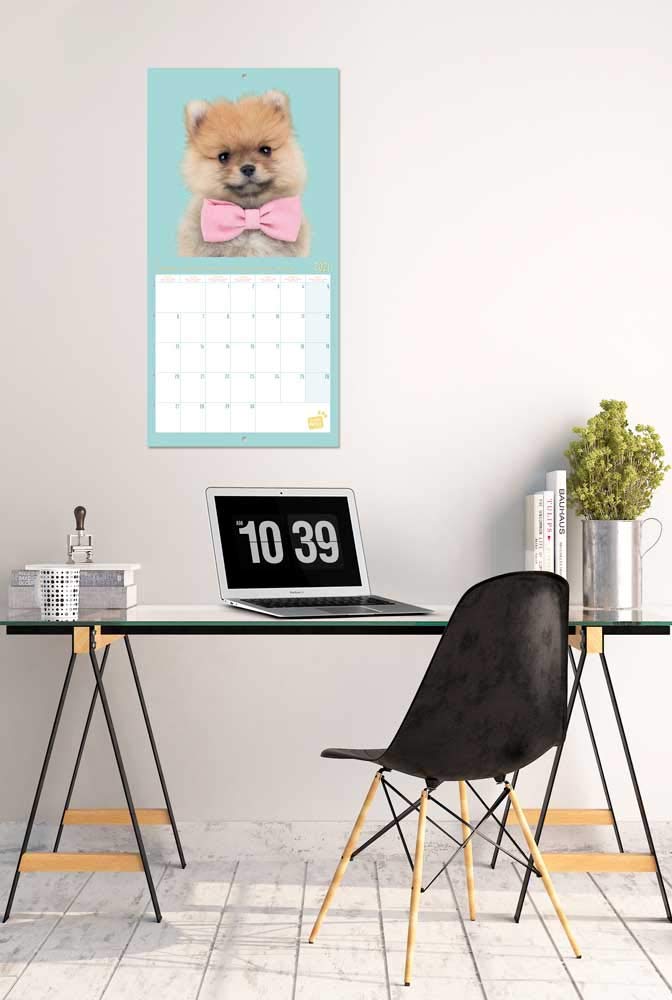 Calendario Da Parete 2021 Gatti Chantrenne - 16 Mesi, 30x30 Cm, Multilingue Con Fasi Lunari - Foto 6