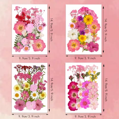 Flores prensadas secas para manualidades, estilo rosa miniatura 7