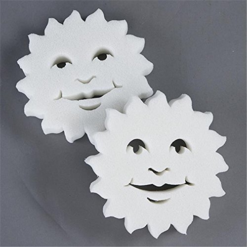 amaebvivison Solutions Group Sa SS-2-24 Sun Sorb Patented Foam Stops Scum Lines/RM#G4H4E54 E4R46T32594553