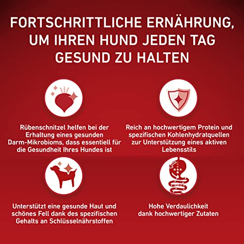 PURINA ONE Mini/Small Active Hundefutter trocken für kleine Hunde, reich an Huhn und Reis, 8er Pack (8 x 800g)