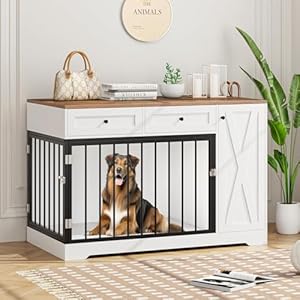 Wooden Dog Crate Furniture, Indoor Pet House with Double Doors & 2 Drawers, Modern Farmhouse Side End Table with Storage Cabinet, for Small to Big Dogs, White