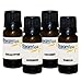 SteamSpa G-OIL4 Aromatherapy Essential Oil for Steam Shower, 4-Pack