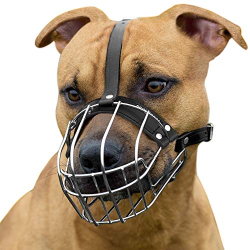BRONZEDOG Pitbull Maulkorb Drahtkorb Amstaff Pit Bull Metallmaske Verstellbare Lederriemen (M) Cover