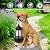 Garden Dog Statues Outdoor Decor, Solar Lights Outdoor Labrador Figurine Solar Dog Ornaments for Patio, Lawn, Yard Art Decoration, Housewarming Garden Gifts for Mom
