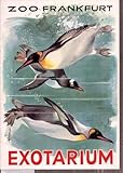 zoo frankfurt jobs  Exotarium Zoo Frankfurt (Pinguine)