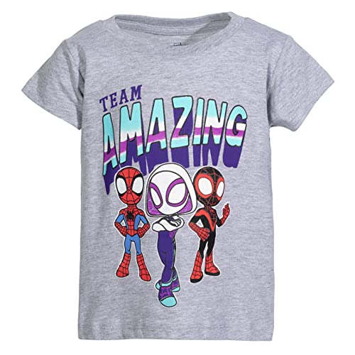 Marvel Spidey and His Amazing Friends Girls 2 Pack T-Shirts Toddler to Little Kid4