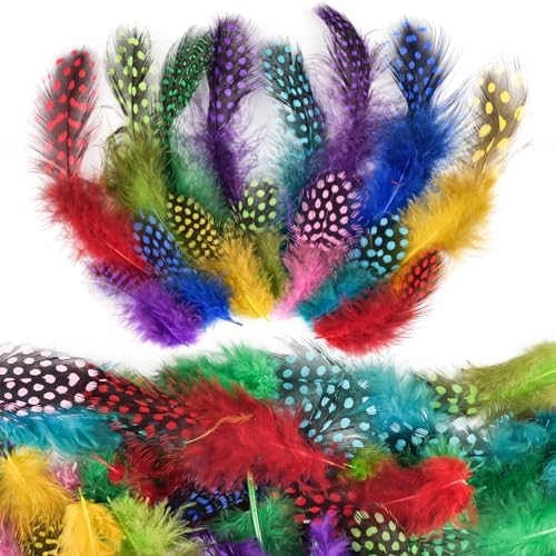 Deepton Federn zum Basteln, 300 Stück Bunte Federn basteln, Perlhuhn Bastelfedern Bunt, Natürliche Federn Deko für DIY Ostern Karneval Weihnachten Maske Hut Traumfänger