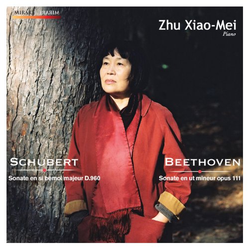 Klaviersonaten 23 d.960/32 Op.111