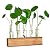 YIBOT Plants Propagation Stations Plant Terrarium with Wooden Stand Home Garden Office Decor Plant Lover Gifts
