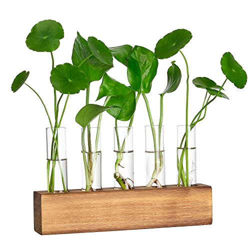 YIBOT Propagation Stations, Plant Terrarium with Wooden...