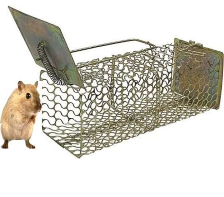 Balaji Enterprises Rat, Rodent, Mouse Trap/Catcher Iron Big Size - Ultimate Solution to All Rat Problems (Pack of 1) (B0CL249YGG) Amazon Price History, Amazon Price Tracker