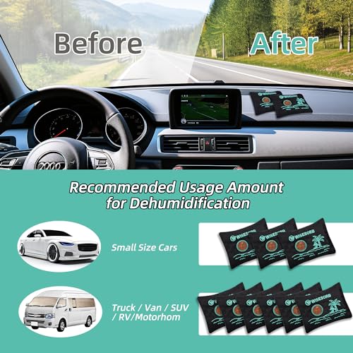 Image of Wisesorb 100g x 5pcs Rechargeable Desiccant Packs, Reusable Car Dehumidifier Bags Color Indicating Silica Gel Packets Moisture Absorbers for Storage Bins, Suitcase, Safe, 3D Filaments, Electronics
