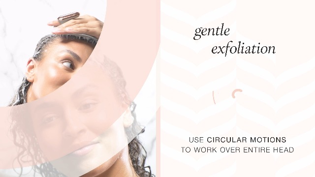 Amazon.com: MANTA Pulse Electric Scalp Massage Brush – Wet