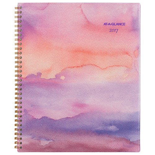 AT-A-GLANCE Weekly / Monthly Planner / Appointment Book 2017, 8-1/2 x 11
