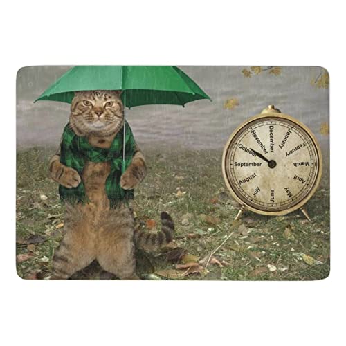 O J[ybg   L P v O~ ӂӂ O}bg 150X100cm k  ~ イ I[V[Y NbV}bg h}bg `