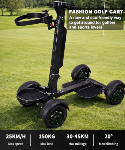 AESWGOF Smart Display Golf Scooter