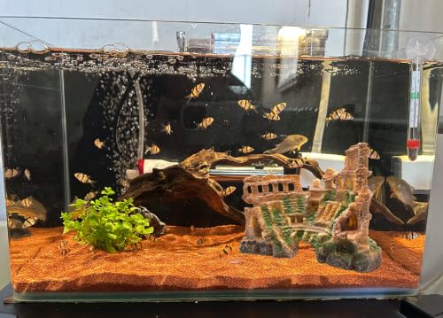 Image of M2cbridge Aquarium Decor Antique Roman Column Ruin European Castle | Rome Colosseum, Underwater Landscape