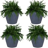 Sunnydaze 24-Inch Anjelica Large Plastic Pot for Plants - Outdoor Polyresin Round Planter with Drillable Drainage Holes - Slate - 4pk