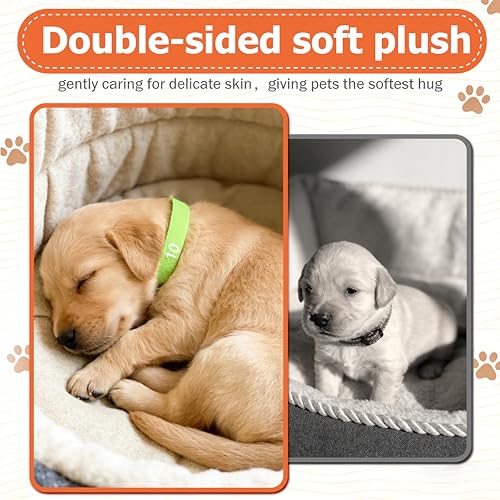 Image of Newborn Puppy Collar Set of 12 with Numbered Tags & Weight Tracker Chart, Soft Adjustable Kitten Collar, Puppy Collars for Litter, Whelping Supplies for Kitten Small Dogs (S /M /L) (L)