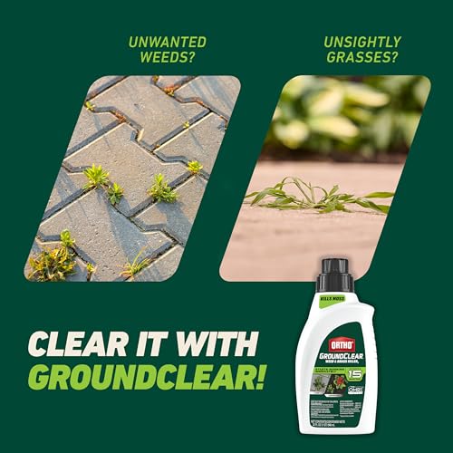 image for Ortho GroundClear Weed and Grass Killer2 Concentrate, Kills Dandelions