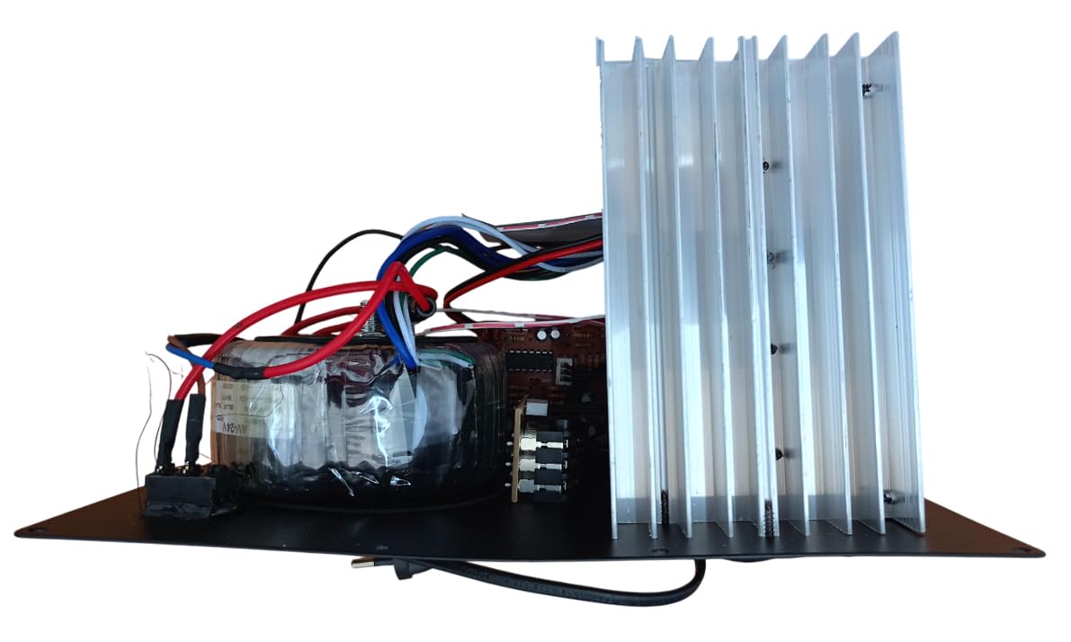 Modulo Amplificatore PM100 per Cassa Acustica – Ricambio Audio per Altoparlanti e Diffusori
