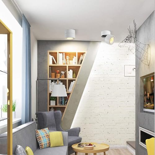 Image of LED Ceiling Spotlight-Indoor 360Adjustable Surface Mounted 10W COB Ceiling Downlight-Wall Lamp for Picture Background Wall Display Lighting(White,3000K Warm Light)