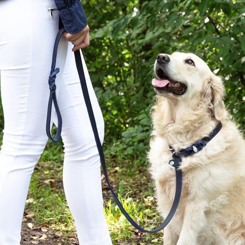 CopcoPet Retrieverleine mit Zugstopp für kleine Hunde – 1,20m x 10mm Moxonleine in Apfelgrün – Fettlederleine & Agilityleine aus Leder – stufenlos verstellbar, Handarbeit, verchromt, wetterfest