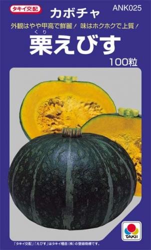 Amazon.co.jp: かぼちゃ 種 【 栗えびす 】 種子 小袋（約100粒