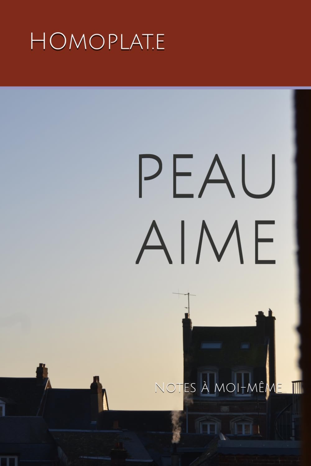 PEAU AIME: Notes à moi-même