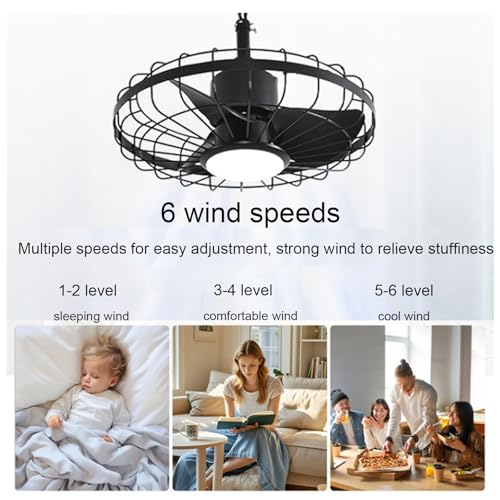 FRDSEBN(小さな店) 20インチ屋外用シーリングファン の商品画像 2