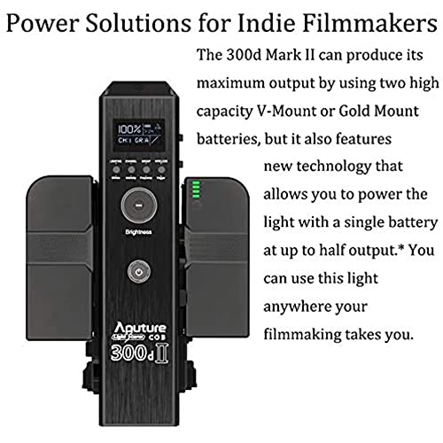 Aputure 600D lighting kit